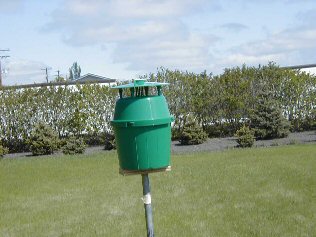 Trap for collecting adult moths