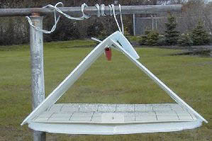 Assembling the traps - Sticky bottom placed in trap