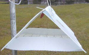 Trap with front and back flaps closed