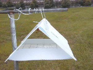 Completed trap set-up