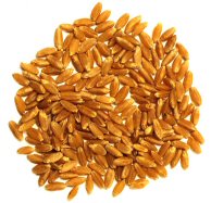 Clean seed sample