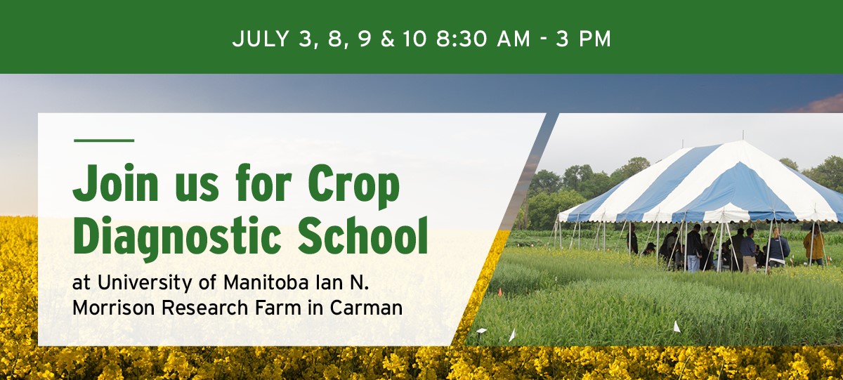 Crop Diagnostic School 2025 style='display:block;width: 100%;position: relative; margin-top: 20px;'