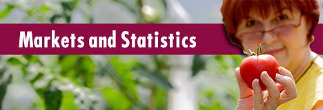 Markets and Statistics Page