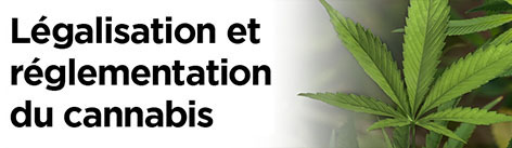 Légalisation et réglementation du cannabis