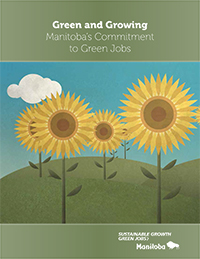 sunflowers in a field