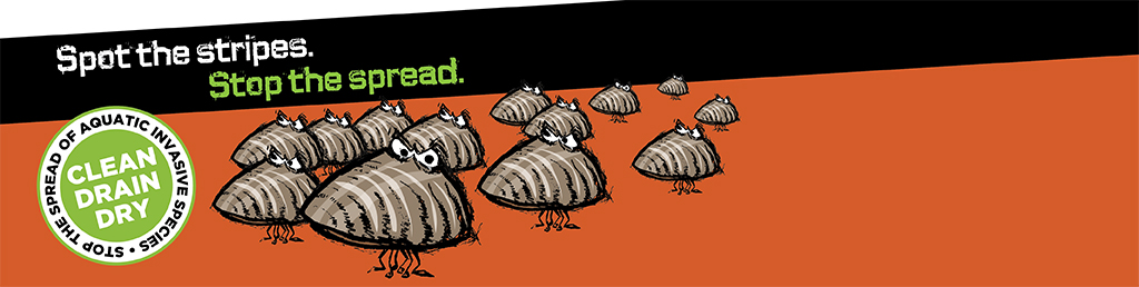 Stop the Spread