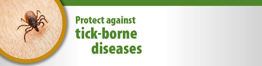 Tick-borne Diseases