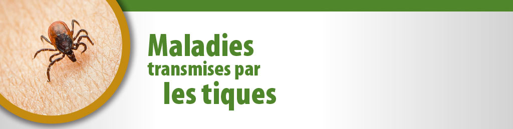 Faites-vous vacciner. Ne propagez pas la grippe.