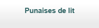 Punaises de lit