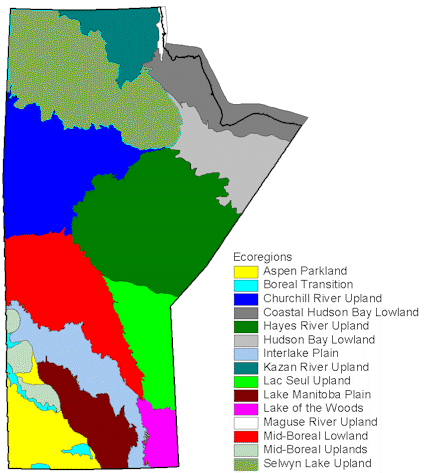 Ecoregions - Click on regions or the legend to view information on each region