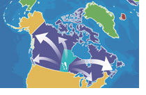 Manitoba highlighted on map of Canada
