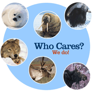 Who Cares - We Do!