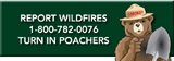 Turn in Poachers