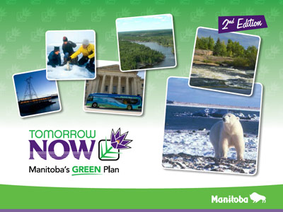 Manitoba Crocus and Polar Bear