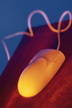 computer mouse