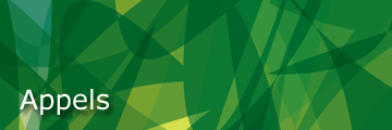 Main Banner