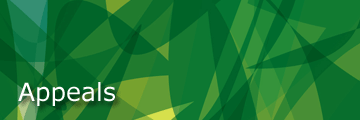 Main Banner