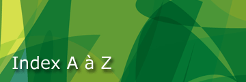 Main Banner