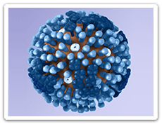3D graphical representation of a generic flu virus