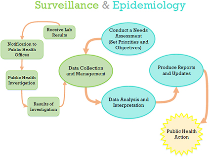 Definition of Epidemiologic surveillance