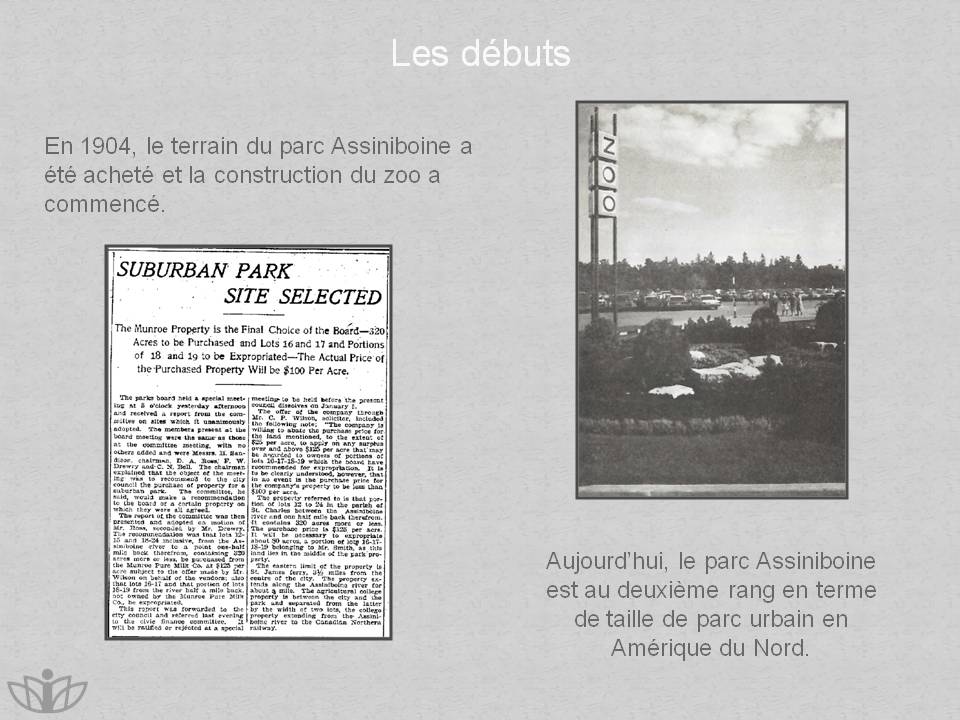 Les dbuts : En 1904, le terrain du parc Assiniboine a t achet et la construction du zoo a commenc. Aujourdhui, le parc Assiniboine est au deuxime rang en terme de taille de parc urbain en Amrique du Nord.