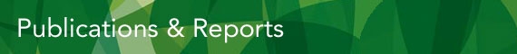 Publications & Reports