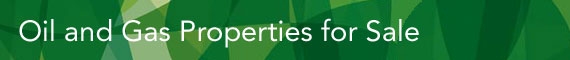Properties for Sale