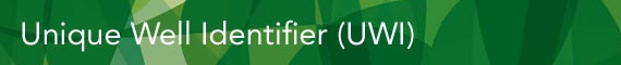 Unique Well Identifier (UWI)