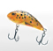 Anglers' Guide