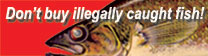 Don't buy illegally caught fish!