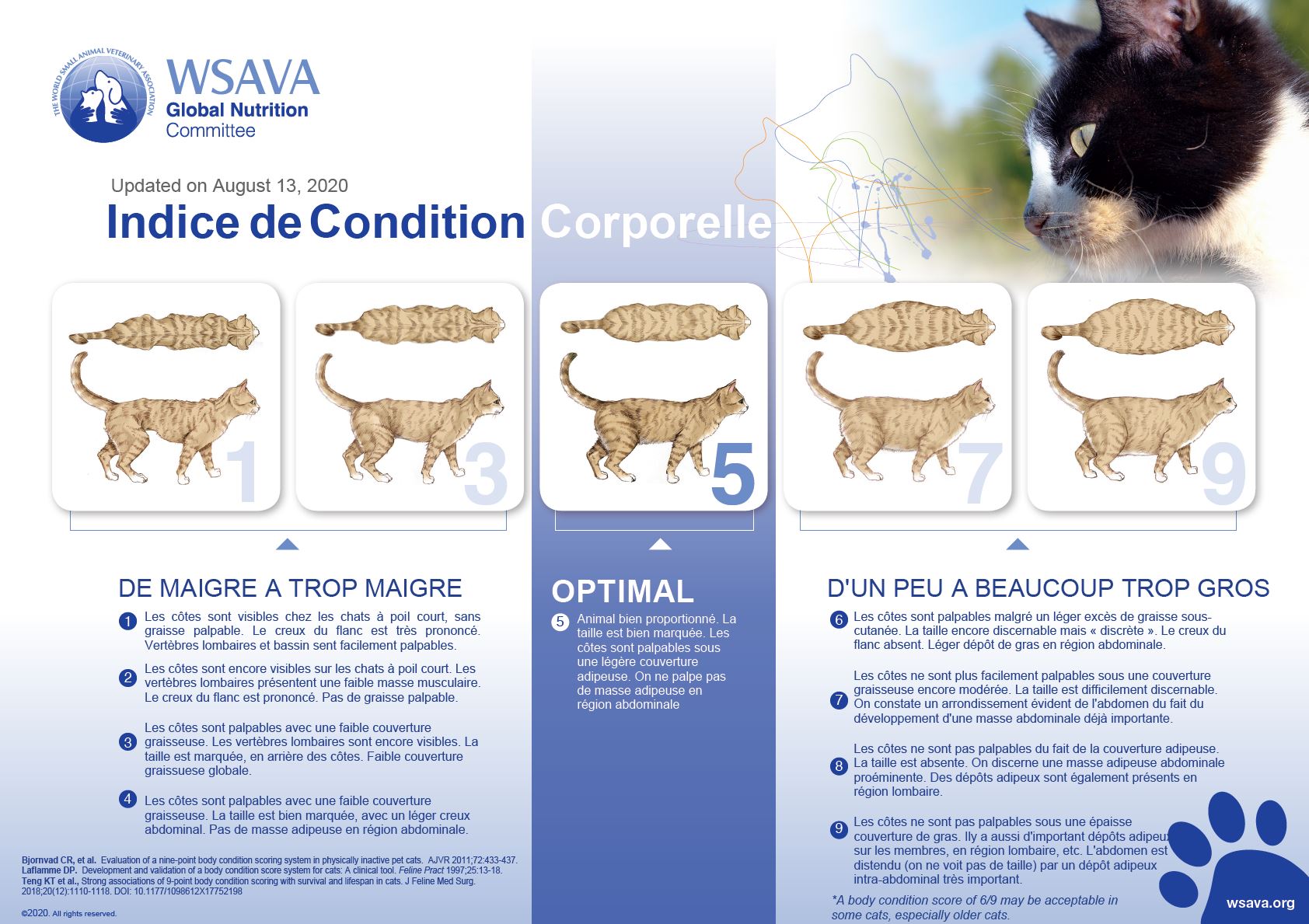 Cat Body Condition Score