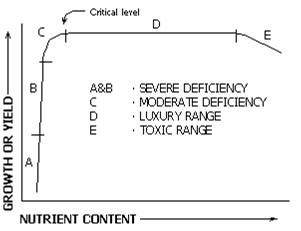 plant tissue test nutrient levels and effect on crop growth