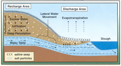 Image - Ground Water Flow and Soil Salinity Diagram