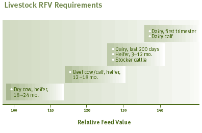 Livestock RFV Requirements
