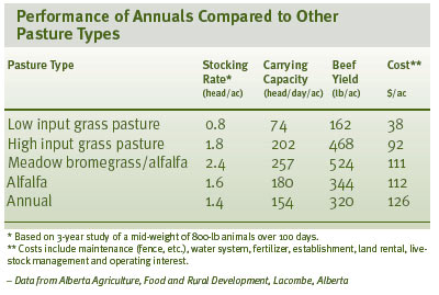 Performance of Annual Compared to Other Pasture Types