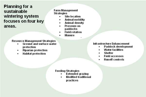 planning for a sustainable wintering system focuses on four key areas