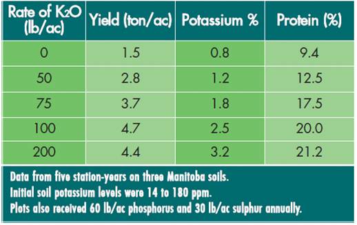 effect of potassium application on alfalfa yield, potassium content and protein