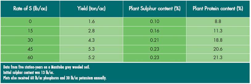 effect of sulfur application on alfalfa yield, sulfur content and protein