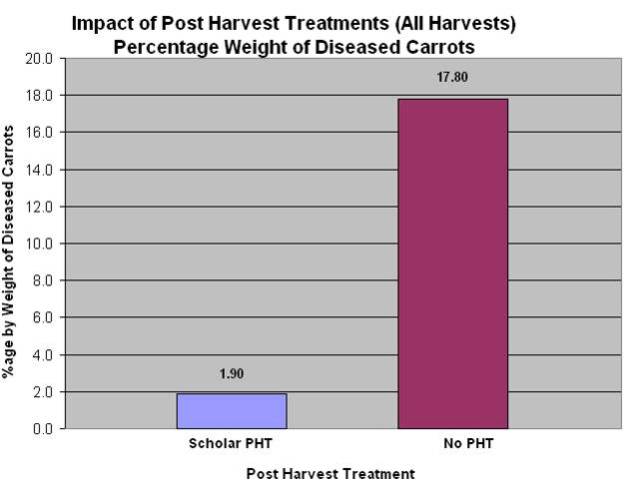 impact of post harvest treatments on diseased carrot yield