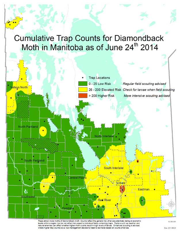 Manitoba Diamondback moth forecast for 2014-06-24 