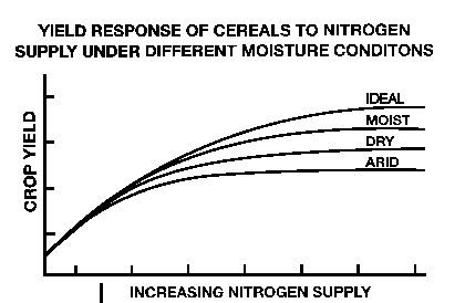 Yield response of cereals to nitrogen supply under different moisture conditions.