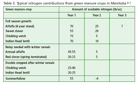 Typical nitrogen contributions from green manure crops in Manitoba.