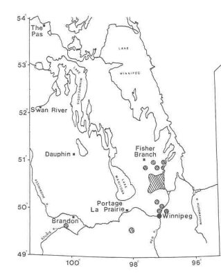 Distribution of red bartsia in Manitoba