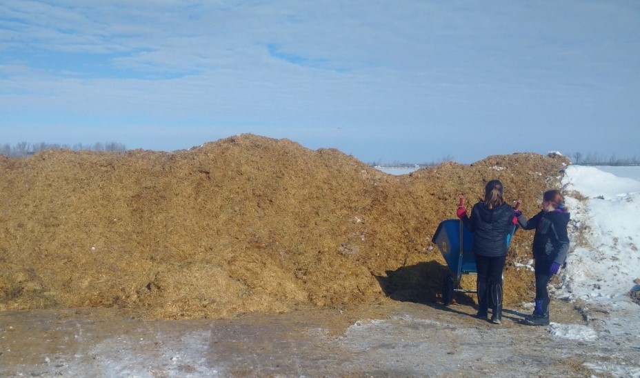 Picture of two people standing on the land where winter season is almost about to end.