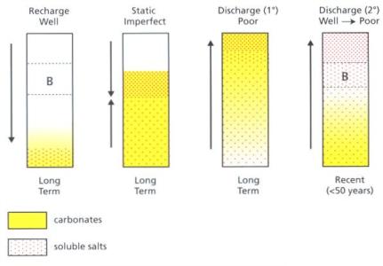 primary salinity