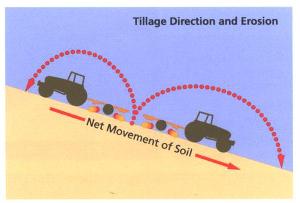Movement of soil by tillage erosion
