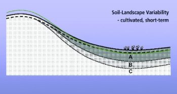 Cultivated landscape showing the short-term effects of tillage erosion
