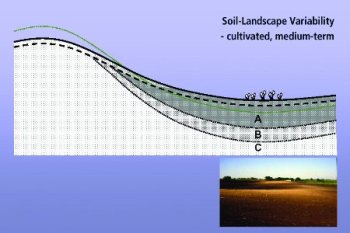 Medium-term effects of tillage erosion