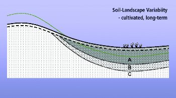 Long-term effects of tillage erosion