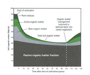 Trends in soil organic matter content